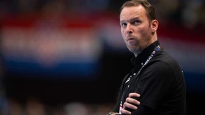 Der isländische Solitär