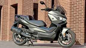 Jetzt überrollern sie uns