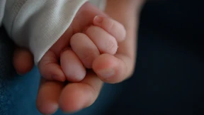 Ampelkoalition einigt sich nach monatelangem Streit