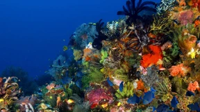 Müssen wir uns vor dem Meer fürchten? 