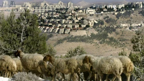 Israel will 20.000 Wohnungen für Siedler bauen