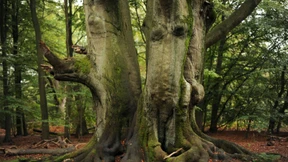 Spalten statt schützen