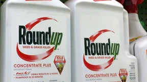 Glyphosat-Vergleich von Bayer stockt noch