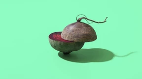 Kostenschock Krankenversicherung und Tipps gegen Bluthochdruck