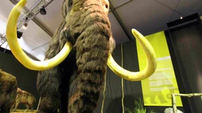 Verizon will Anleihen für 49 Milliarden Dollar ausgeben