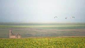 Ins Früher geführt