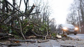 Wie schlimm wird „Franz“?