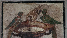 Aufstand in der Villa Massimo