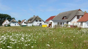 Heißer Immobilienmarkt