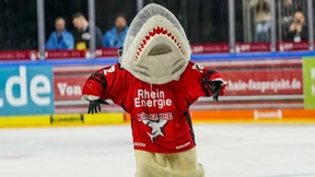 Die große Enttäuschung der Kölner Haie