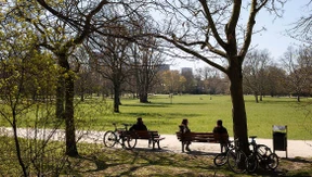 Für Campus-Linie und Grüneburgpark