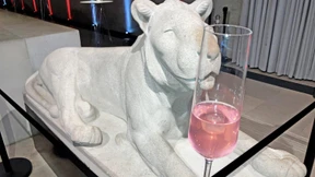 Tief im Funkloch mitten in Berlin