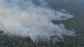Das ökologische Endspiel am Amazonas