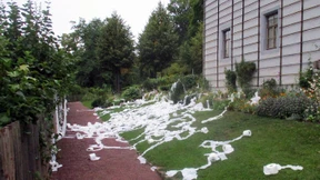 Geistlos, ahnungslos