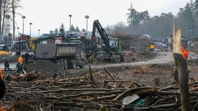 Polizei greift durch: Dannenröder Forst geräumt