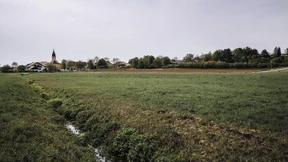 Ein bayerischer Sportplatz und die Rettung der Welt