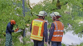 Wenn niemand mehr einen Kompromiss akzeptiert
