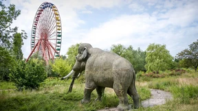 Wo die Dinosaurier wohnen