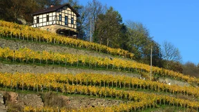 Impftouristen in der ostdeutschen Provinz