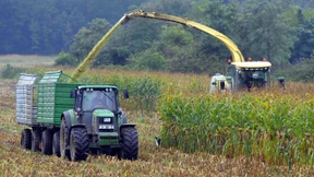 Sabotage bei Maisernte