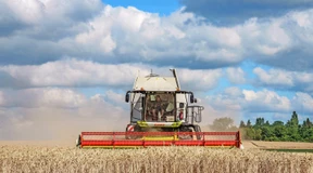 Klimawandel und Bürokratie belasten die Bauern