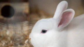 Zooplus soll von der Börse genommen werden