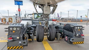 Kranich trifft Feuervogel