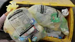 Frau findet 16.000 Euro zwischen gelben Säcken 