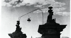 Wildschöne Märchen