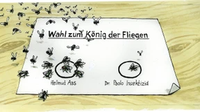 Unregelmäßigkeiten bei der Bundestagswahl?