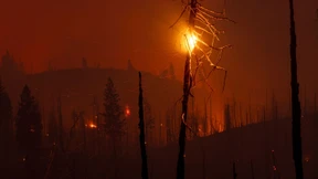 Die nächste Generation zahlt den Preis