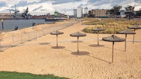 Wenn selbst Bremen Angst vor Hitze bekommt