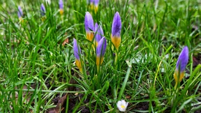 Der Winter ist auf dem Rückzug