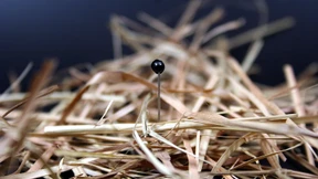 Daten und Künstliche Intelligenz als Chance