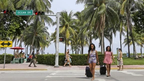 Florida hat Zika-Mücken 