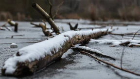Taucher finden vermissten Mann in Teich