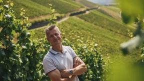 Von der Hecke zur Top-Lage