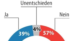 Ein gebrauchtes Elektroauto kaufen?