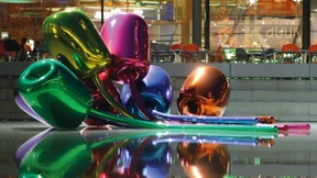 Eine Bank ohne Tulpen