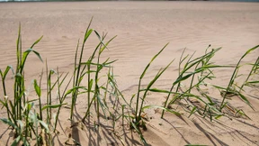 So trocken ist es schon in Deutschland