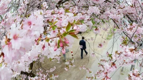 Die Wirtschaft im Frühling