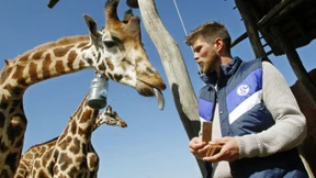 Der ganz normale Schalker Irrsinn