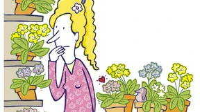 Die Primel treibt es bunt 