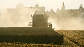 Als Alien auf dem Land