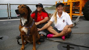 Seglerinnen sollen fünfmonatige Odyssee erfunden haben