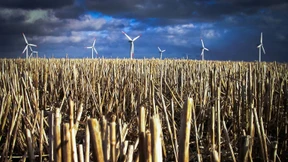 Der Triumph der Planwirtschaft