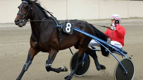 Vorfreude auf eine Wiedergeburt