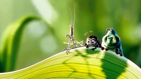 Krabbeln in Darmstadt