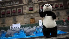 Mediationsverfahren mit WWF gescheitert 