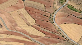 Das kleine Leben und die Kunst der Flucht